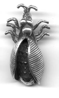 908 - Charm - Winged Bug